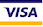 logo visa